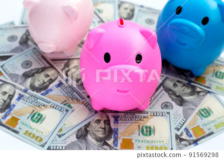Piggy bank on one hundred dollar banknotes. Financial concept Piggy bank on one hundred dollar banknotes. Financial concept 91569298