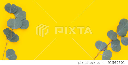 Frame made of eucalyptus leaves on yellow background. Frame made of eucalyptus leaves on yellow background. 91569301