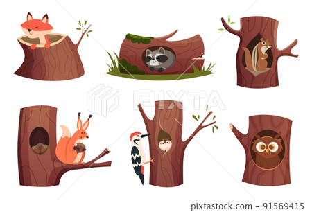 Animals in tree holes. Wild wooden animals living in forest cozy hollow houses for rest time exact vector characters cartoon pictures 91569415