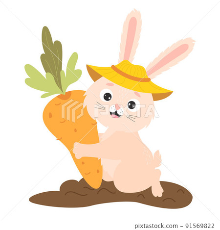 Cute happy rabbit in vegetable garden bed with big carrots. Harvesting, funny farmer. Vector illustration for childrens collection, postcards, design and decoration of agricultural harvest themes Cute happy rabbit in vegetable garden bed with big carrots. Harvesting, funny farmer. Vector illustration for childrens collection, postcards, design and decoration of agricultural harvest themes 91569822
