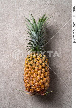 Bromeliad tropical leaves penglai banana background turtle leaf pineapple background パ イ ナ ッ プ ル 91570825