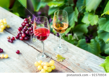 Glasses with white and red wine and grape berries on the wooden table in the vineyards, winery with green leaves background. Wine tasting, Degustation. Selective focus, Copy space. 91570934