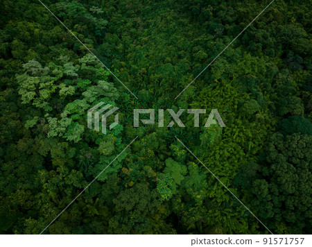 Aerial view of beautiful tropical forest mountain landscape 91571757