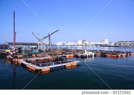 Jogashima, the southernmost tip of the Miura Peninsula Jogashima, the southernmost tip of the Miura Peninsula 91572892