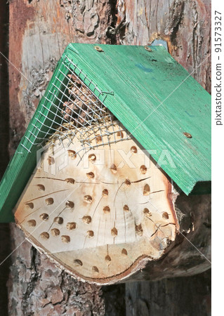 Wooden small house for insects on a tree in the forest. 91573327