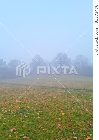 A foggy autumn morning in a park or forest. A foggy autumn morning in a park or forest. 91573476