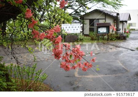 群馬縣草津溫泉梅雨季節風景 群馬縣草津溫泉梅雨季節風景 91573617