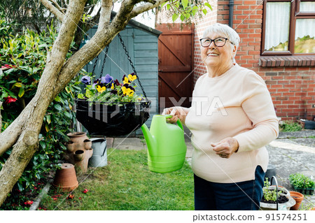Portrait of happy, smiling senior, mature woman watering flowers with watering can in the garden in a sunny day. Retired elderly woman and gardening hobby. Active Retirement lifestyle. Portrait of happy, smiling senior, mature woman watering flowers with watering can in the garden in a sunny day. Retired elderly woman and gardening hobby. Active Retirement lifestyle. 91574251