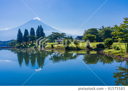 (Shizuoka Prefecture) Lake Tanuki Lakeside Campsite in Midsummer Fuji reflected on the surface of the lake 91575583