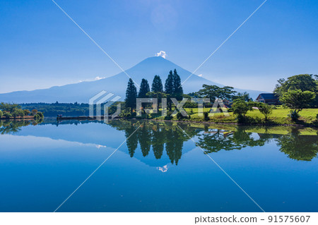 (Shizuoka Prefecture) Lake Tanuki Lakeside Campsite in Midsummer Fuji reflected on the surface of the lake 91575607
