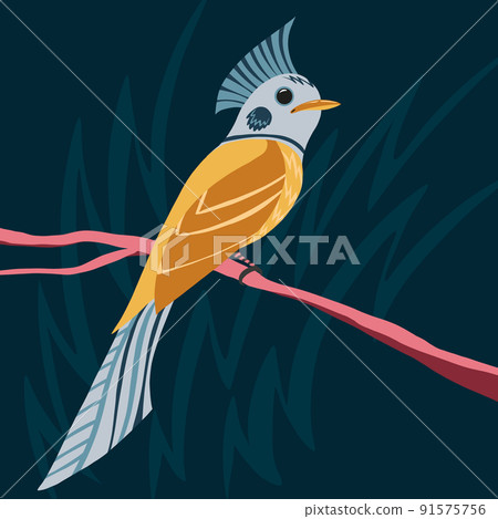 Vector illustration of fantastic colorful unusual bird 91575756