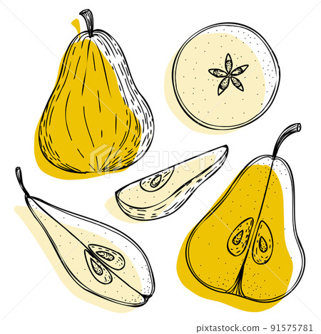 Vector pear set: pears, slice, half, whole, and leaves, seeds. Yellow abstract hand-drawn 91575781
