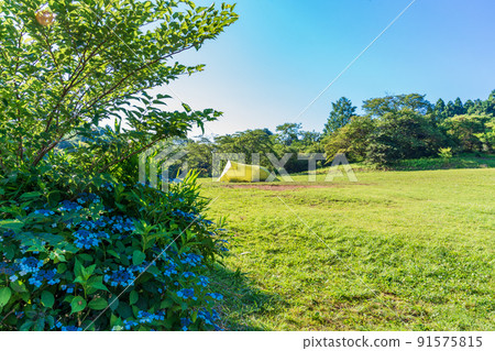 (Shizuoka Prefecture) Lake Tanuki Lakeside Campsite in Midsummer (Shizuoka Prefecture) Lake Tanuki Lakeside Campsite in Midsummer 91575815