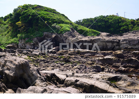 The rocky shores of Jogashima and Nadagasaki, which are eroded by the waves The rocky shores of Jogashima and Nadagasaki, which are eroded by the waves 91575889