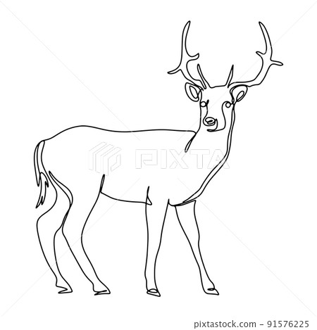 Forest deer line art vector illustration 91576225