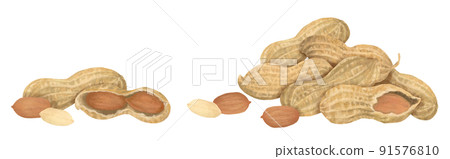 Hand-painted peanuts Hand-painted peanuts 91576810