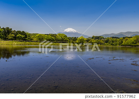 Oyama Town, Shizuoka Prefecture, Spring Rice Terraces in the Rice Planting Season and Mt. Fuji with Remaining Snow Oyama Town, Shizuoka Prefecture, Spring Rice Terraces in the Rice Planting Season and Mt. Fuji with Remaining Snow 91577962