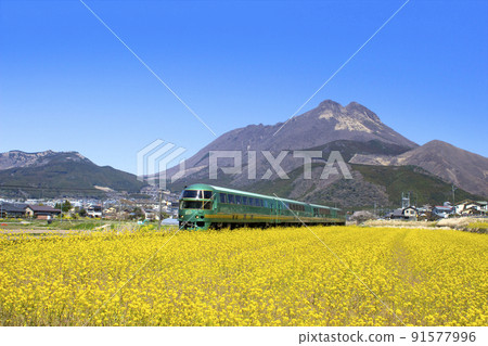 Yufuin no Mori, which runs through Mt. Yufu and rape blossom fields Yufuin no Mori, which runs through Mt. Yufu and rape blossom fields 91577996
