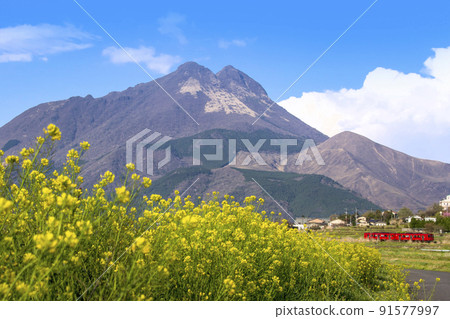 Yufuin: A red train that runs through Mt. Yufu and the field of rape blossoms Yufuin: A red train that runs through Mt. Yufu and the field of rape blossoms 91577997