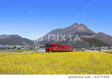 由布院：穿過由布山和油菜花田的紅色列車 91577999