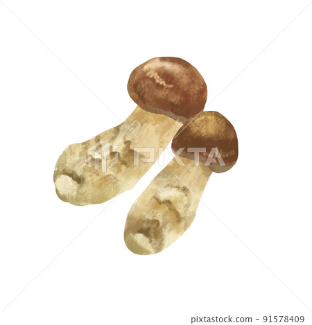 Autumn taste Matsutake mushrooms 91578409