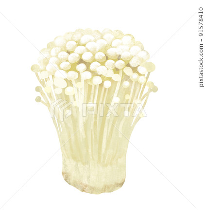 Autumn taste Enoki 91578410