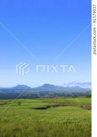 Plums of Kuzu Kogen and Aso Volcano 91579037