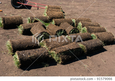 Installing new grass turfs from a roll - Garden building theme Installing new grass turfs from a roll - Garden building theme 91579066