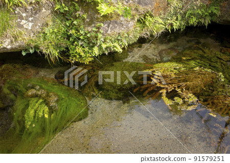 Takeda Yusui group Yahara Yusui 91579251