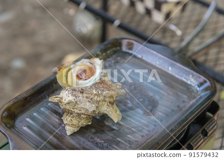 [在汽車露營地烘烤單獨的露營頭巾貝殼] 91579432