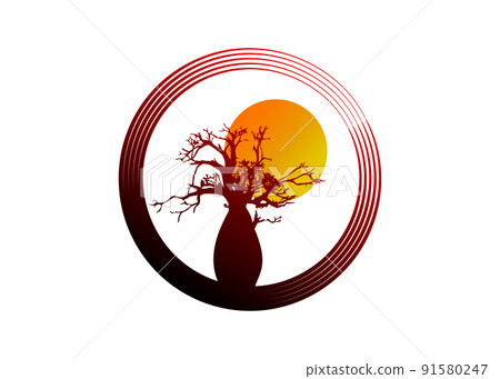 Boab or Baobab Tree Vector isolated, tree silhouette circle logo concept icon, illustration sign isolated on sunset background 91580247