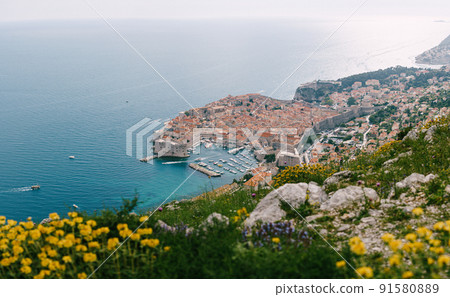 Aerial top view on the old city of Dubrovnik, from the observation deck on the mountain above the city. Film location. The view of the city is based on the Royal Harbor. 91580889