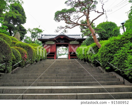Gokokuji Temple, Chiyoda-ku, Tokyo Gokokuji Temple, Chiyoda-ku, Tokyo 91580952