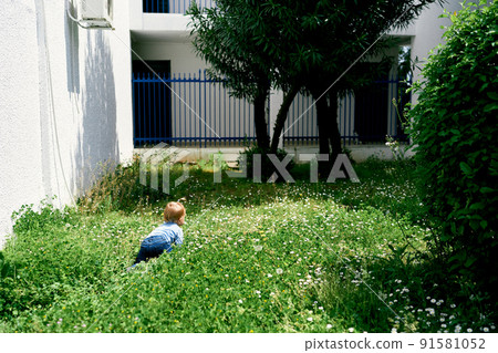 Little girl crawls along the green lawn to the trees Little girl crawls along the green lawn to the trees 91581052