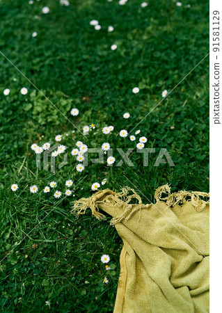 Green blanket lies on the lawn among white daisies 91581129