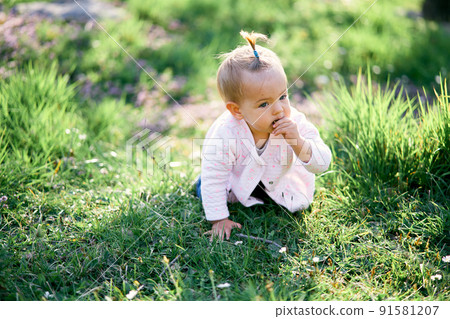 Little girl is crawling on a green lawn and gnawing something, holding it in her hand 91581207