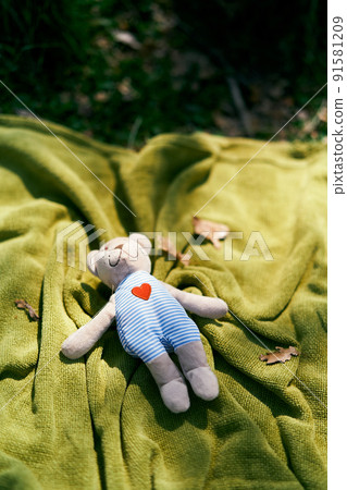 Teddy bear lies on a green bedspread on the lawn. Top view Teddy bear lies on a green bedspread on the lawn. Top view 91581209