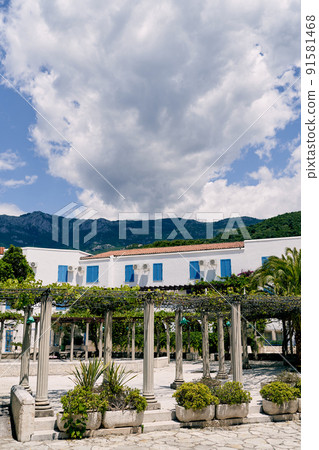 Column patio, entwined with grapes, against the backdrop of the house and mountains Column patio, entwined with grapes, against the backdrop of the house and mountains 91581468