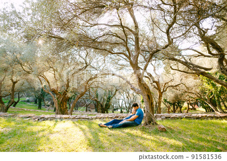 Man with a pregnant woman in a long blue dress lie on the grass under a sprawling olive tree in the park 91581536