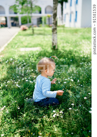 Little girl sitting in the grass among white daisies 91581539