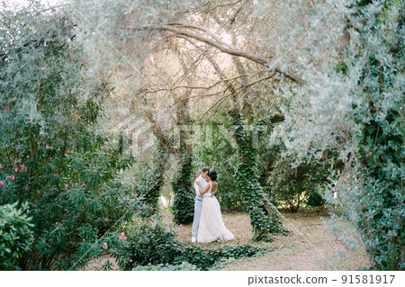 The bride and groom are embracing among the trees entwined with ivy in an olive grove The bride and groom are embracing among the trees entwined with ivy in an olive grove 91581917