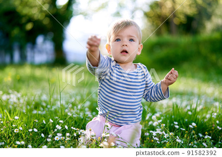 Child kneels in the middle of a flower meadow and stretches his arms forward 91582392