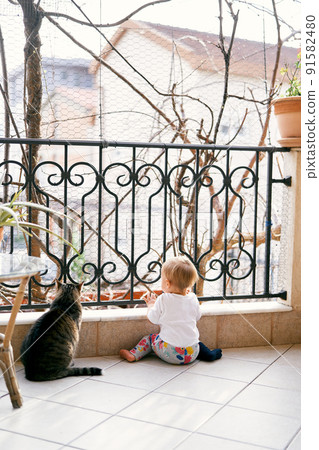 Small child sits on the balcony near the forged lattice and a table with flowerpots. A tabby cat sits next to him 91582480