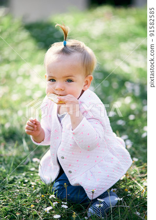 Little baby girl with a ponytail on her head gnaws a fruit chip sitting on her knees on a green lawn among flowers 91582585
