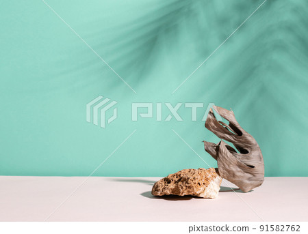 Abstract modern podium dry plant and stone, blue menthol empty background deep shadows from plant Abstract modern podium dry plant and stone, blue menthol empty background deep shadows from plant 91582762