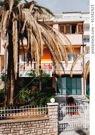Brown leaves on a palm tree in front of a three-story building 91582925