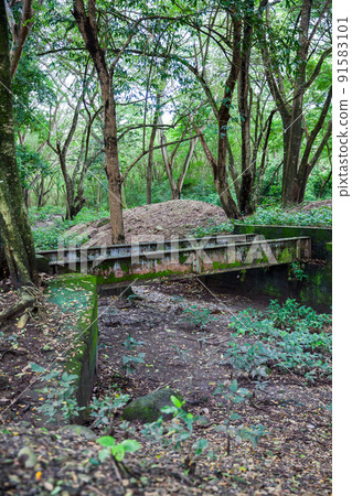 Abandoned bridge over which the train tracks passed before the Armero tragedy in 1985 Abandoned bridge over which the train tracks passed before the Armero tragedy in 1985 91583101