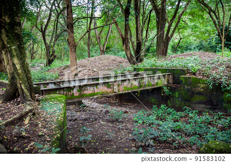 Abandoned bridge over which the train tracks passed before the Armero tragedy in 1985 Abandoned bridge over which the train tracks passed before the Armero tragedy in 1985 91583102