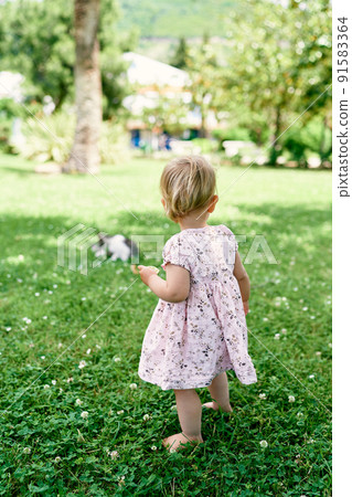 Little girl stands on a green lawn and looks at a cat Little girl stands on a green lawn and looks at a cat 91583364