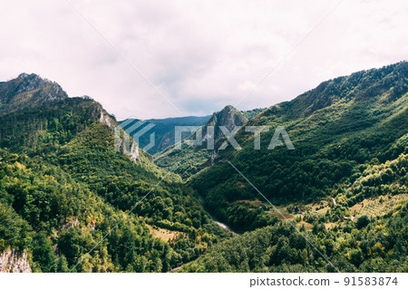 Tara river canyon covered with forest. Montenegro 91583874